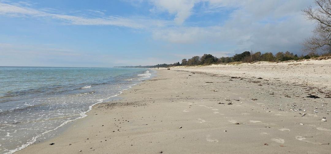 Photo of Others in Beddingestrand
