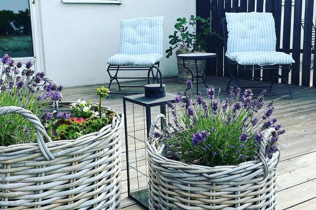 Photo of Patio Balcony in Hammenhog