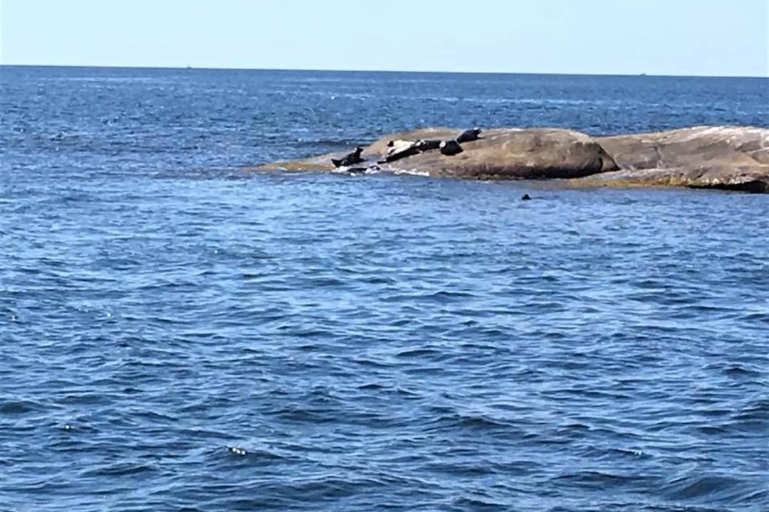 Photo of Others in Kungshamn