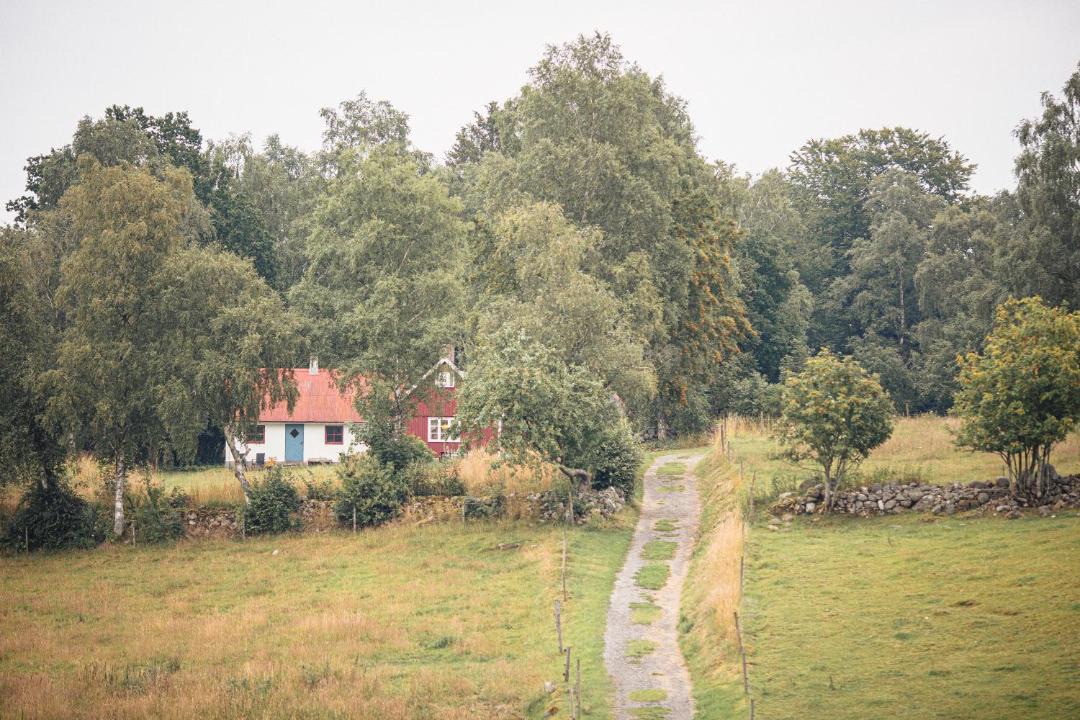 Photo of Others in Lovestad