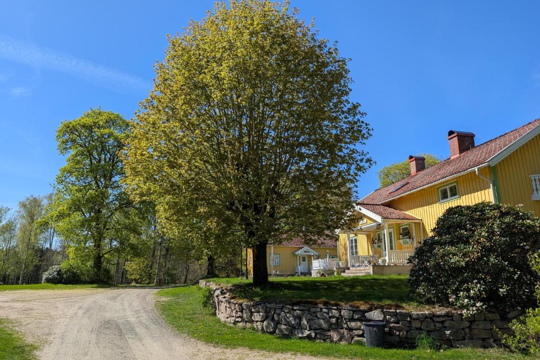 Photo of Others in Fegen