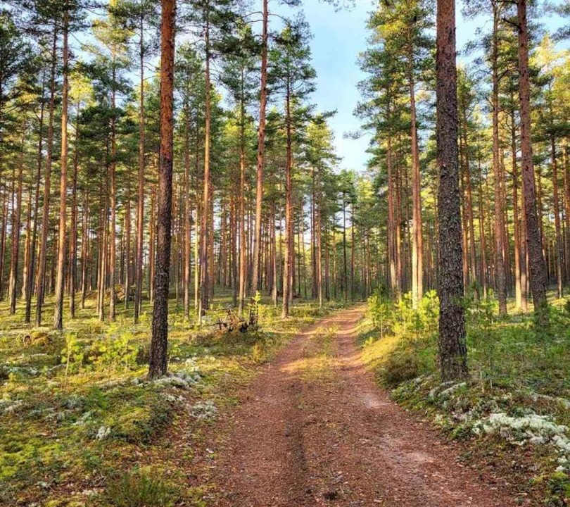 Photo of Others in Loimaa