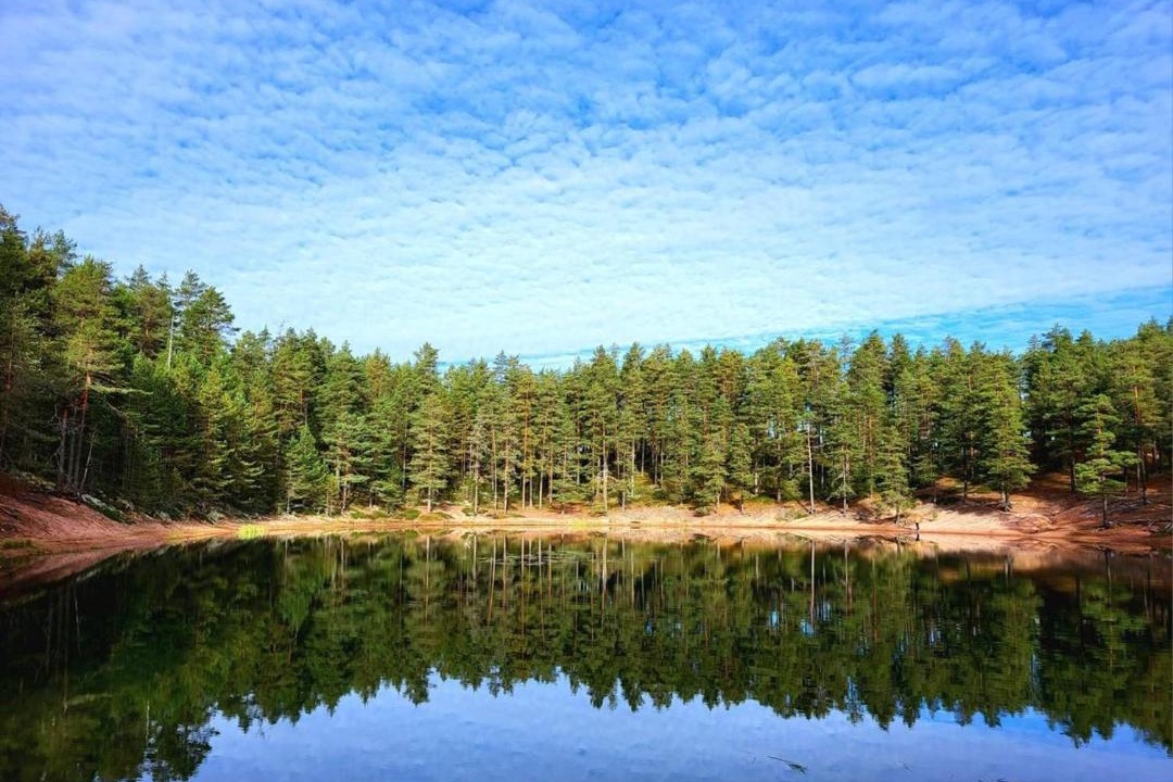 Photo of Others in Loimaa