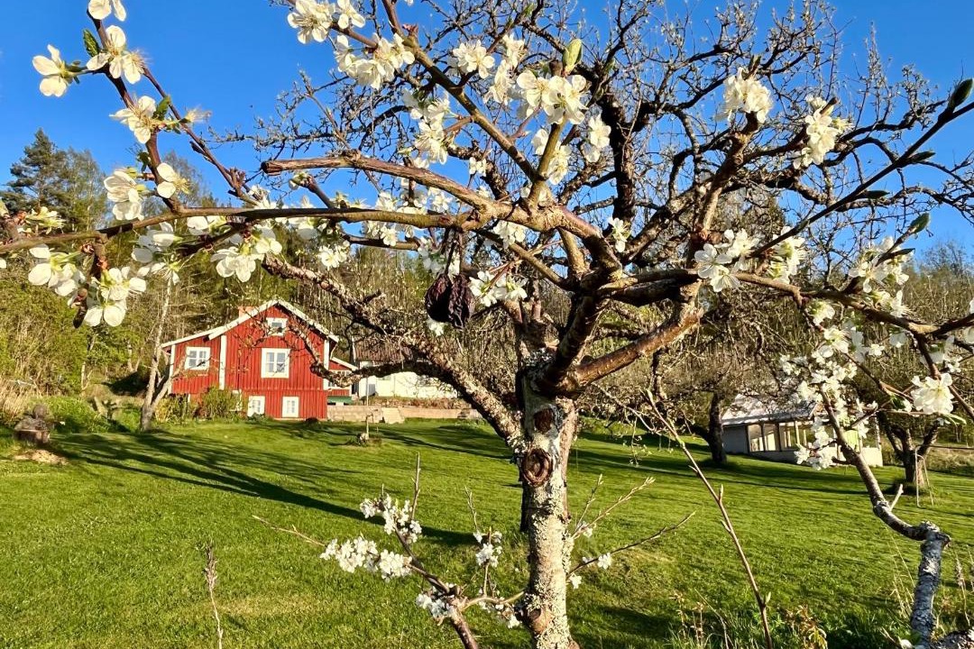 Photo of Others in Alberga