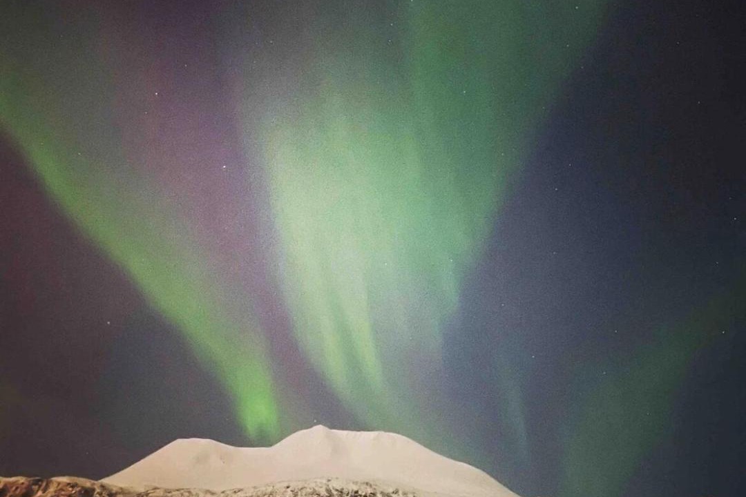 Photo of Others in Lyngen
