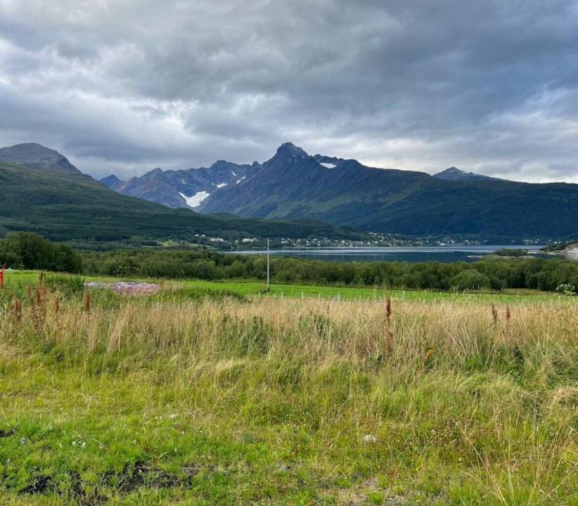 Photo of Others in Lyngen