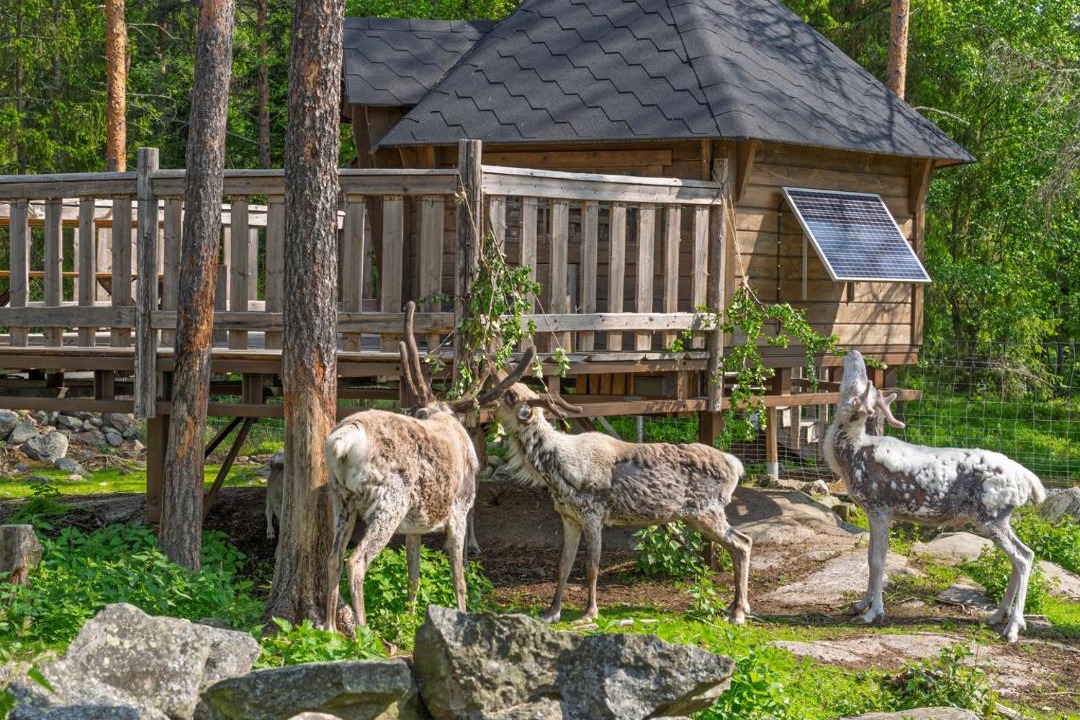 Photo of Others in Kokkola