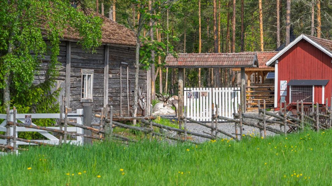 Photo of Others in Kokkola