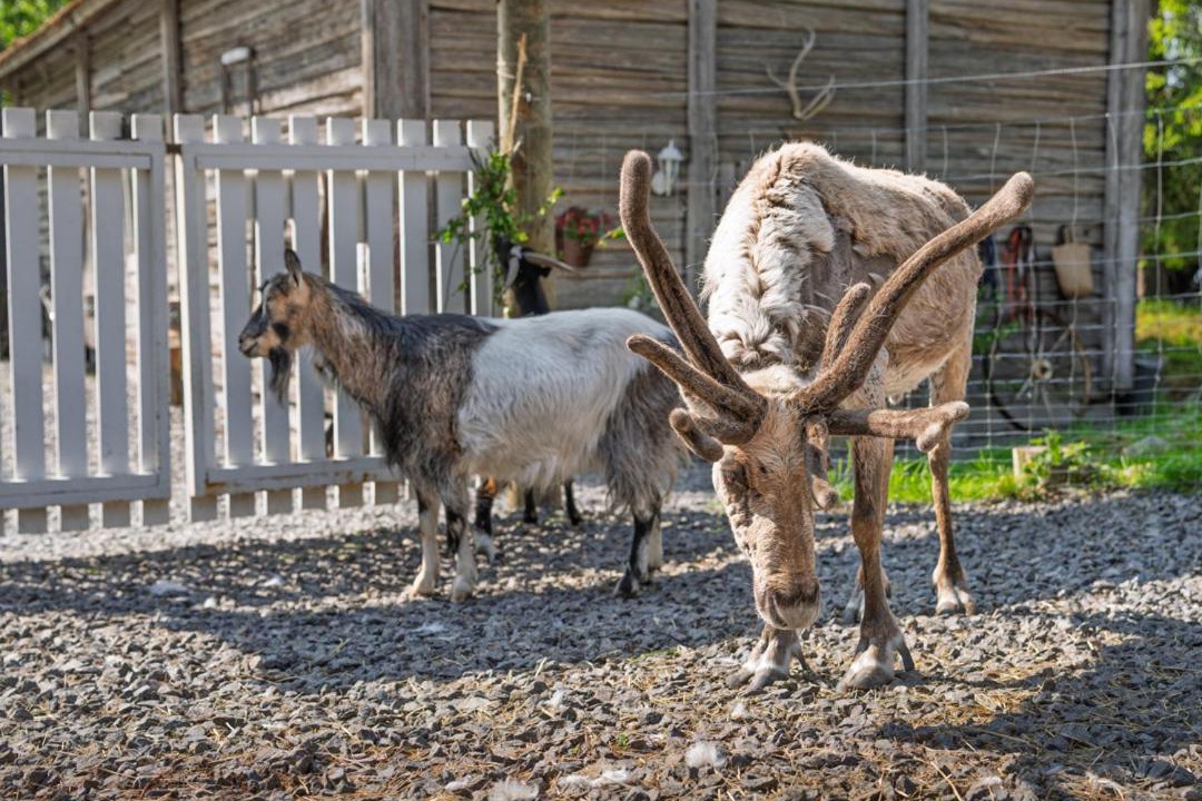 Photo of Others in Kokkola