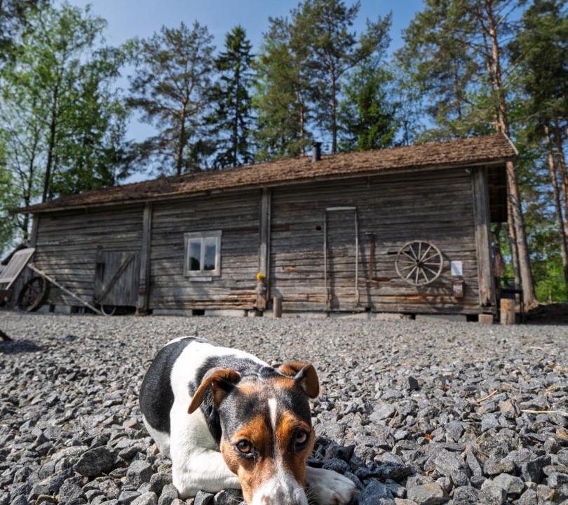 Photo of Others in Kokkola