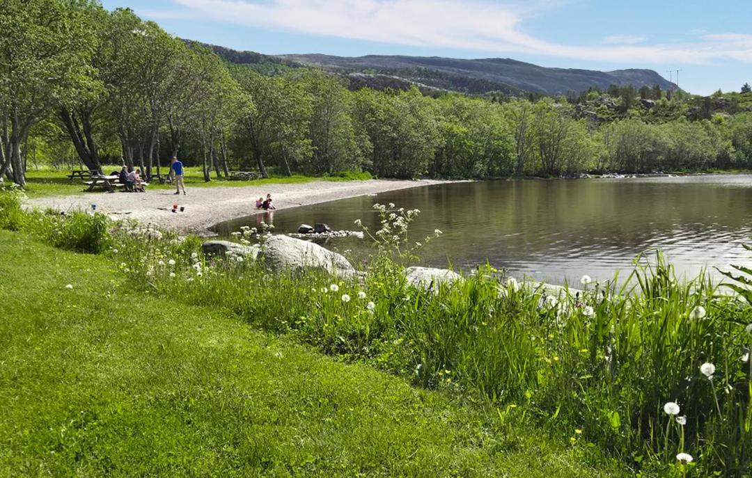 Photo of Others in Agdenes
