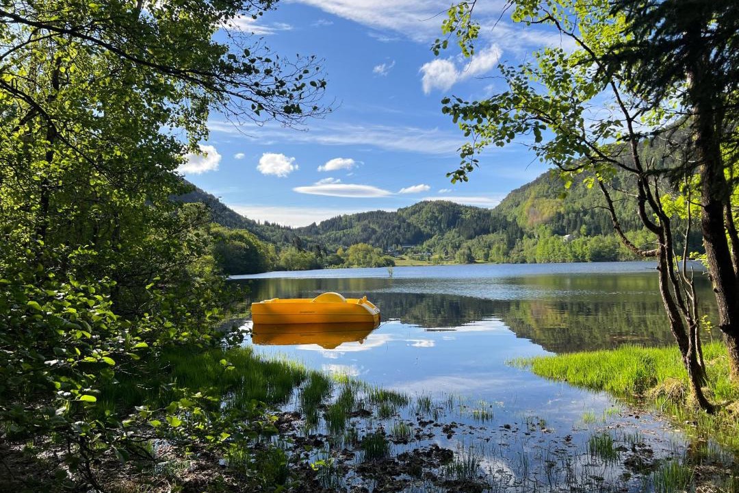 Photo of Others in Fotlandsvag
