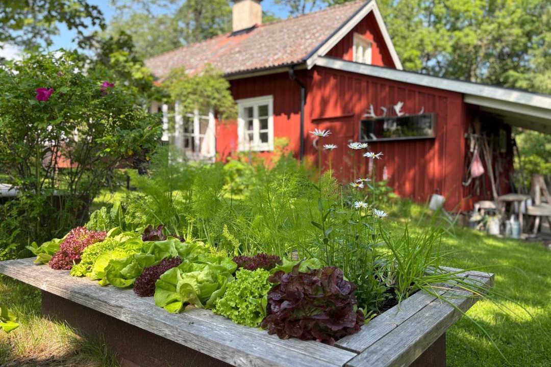 Photo of Others in Mariestad