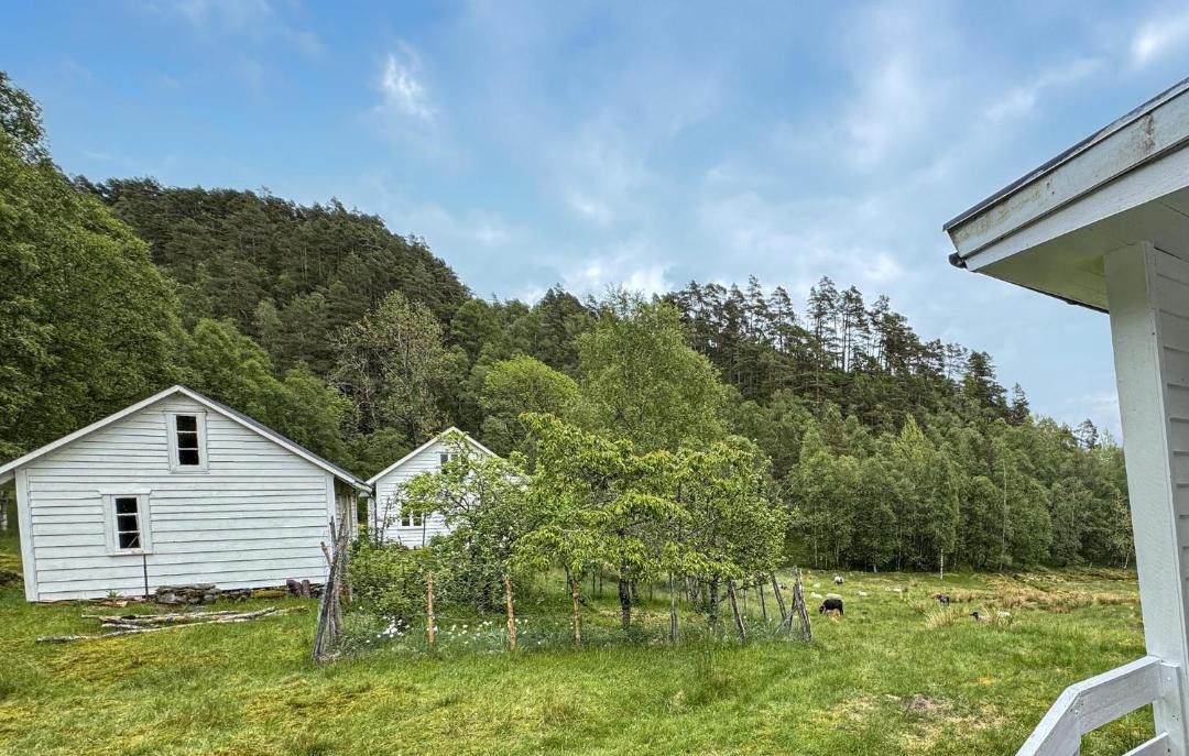Photo of Others in Vindafjord