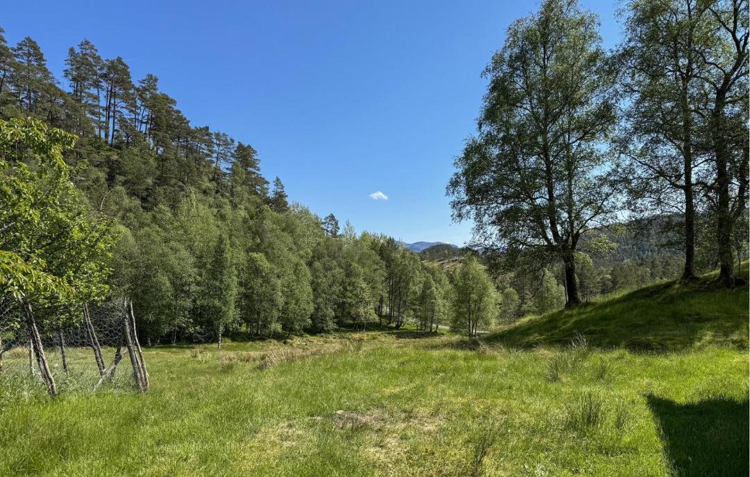 Photo of Others in Vindafjord