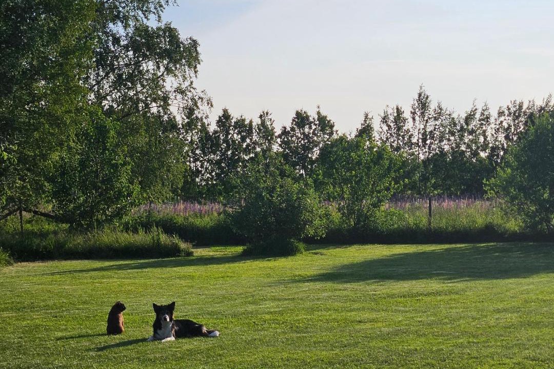 Photo of Others in Stora Mellosa