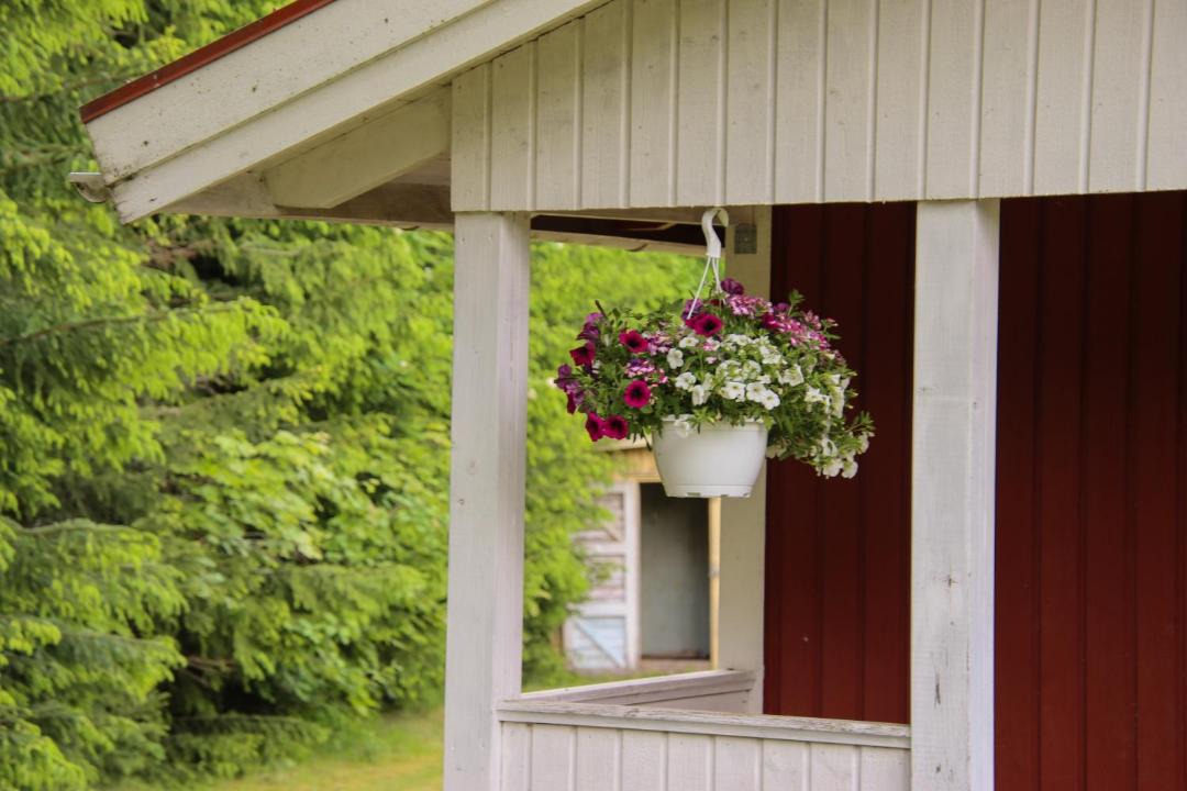 Photo of Others in Hagfors Municipality