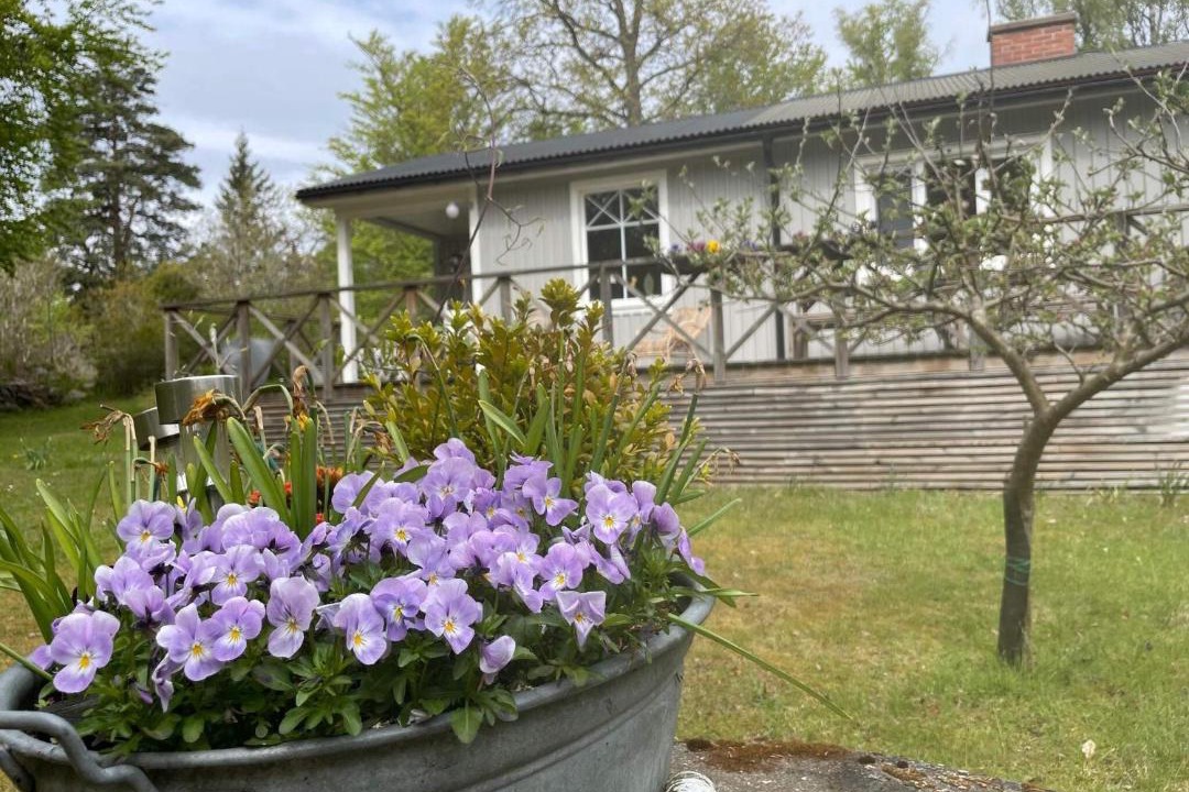 Photo of Others in Ronneby
