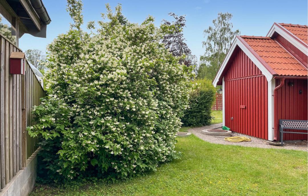 Photo of Others in Fjalkinge
