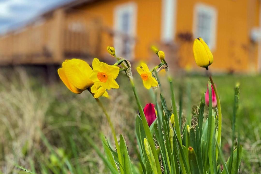 Photo of Others in Kalmar Municipality