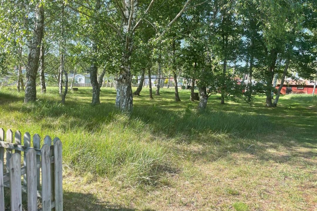 Photo of Others in Skummesloevsstrand