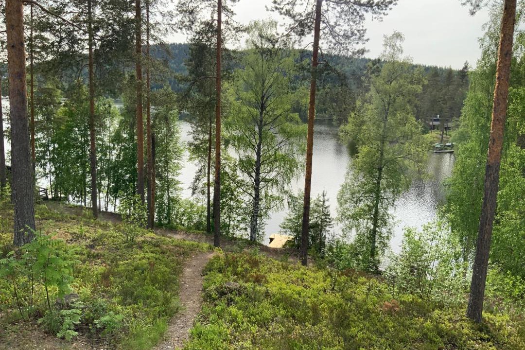 Photo of Others in Koli National Park