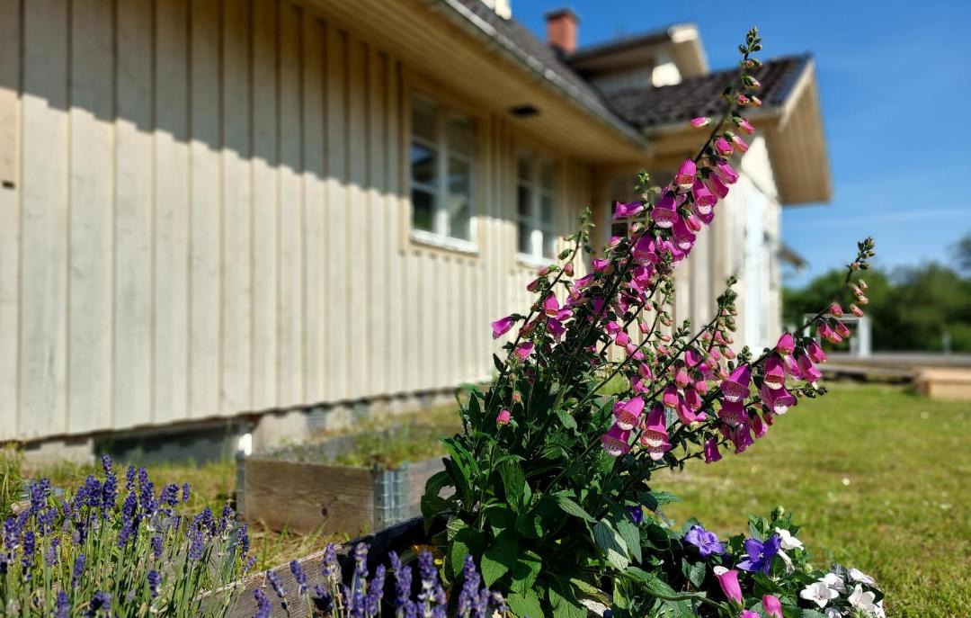 Photo of Others in Bjarnum