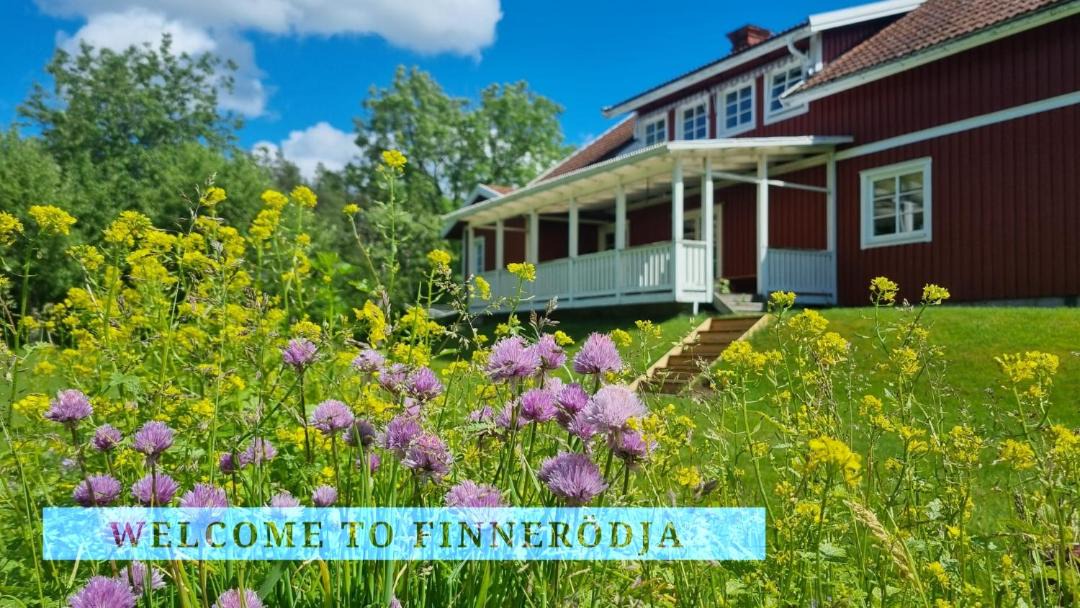 Photo of Others in Finnerodja