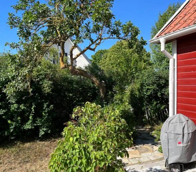 Photo of Others in Klintehamn