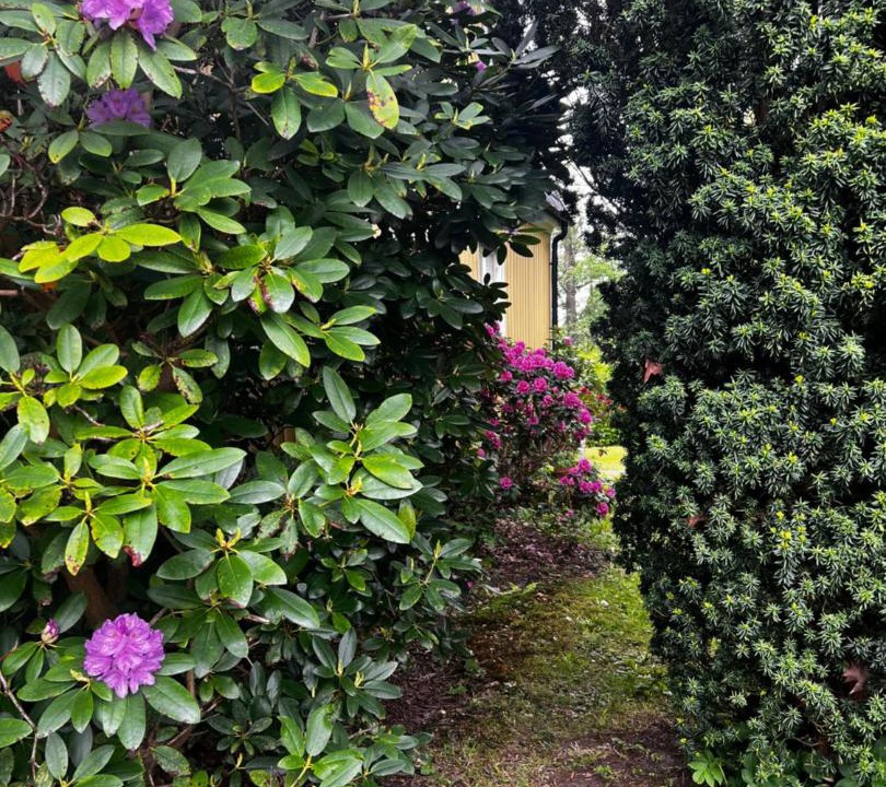 Photo of Outdoor in Alingsas