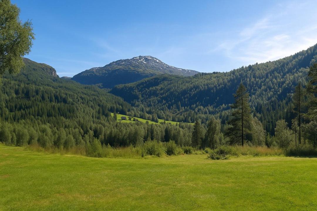 Photo of Others in Voss