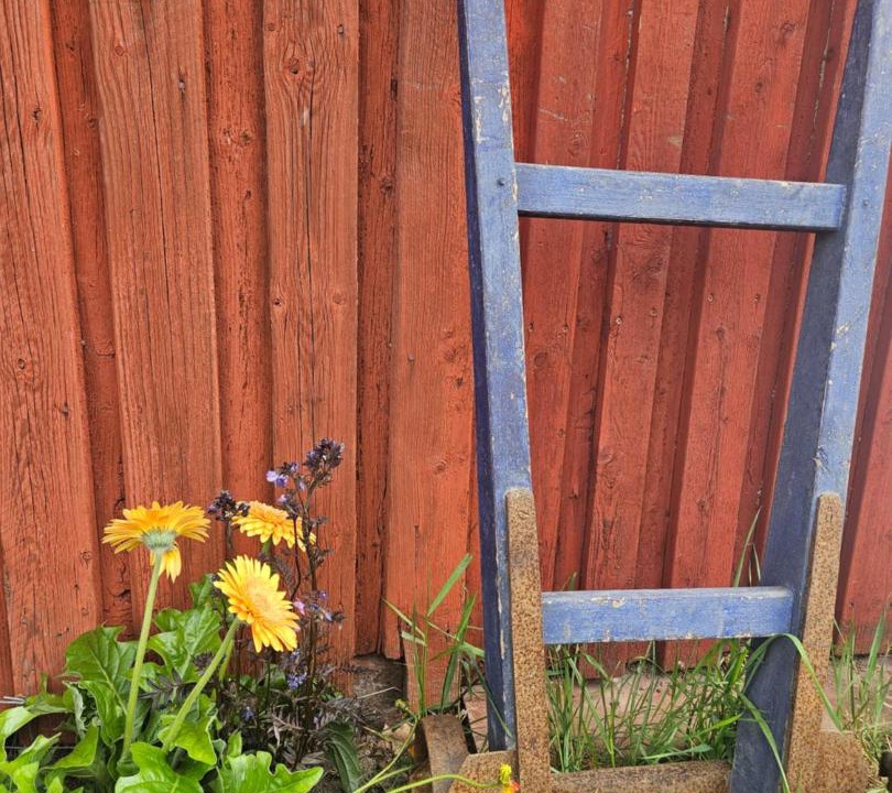Photo of Others in Stora Mellosa