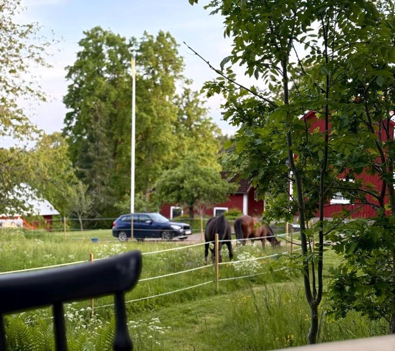 Photo of Others in Osterbymo