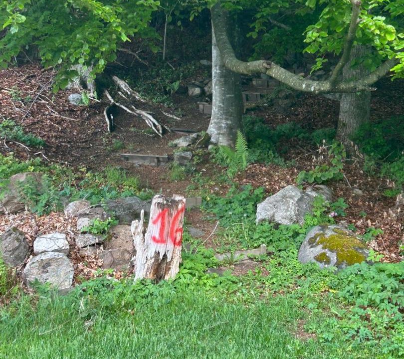Photo of Others in Tjornarp