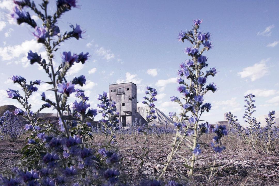 Photo of Others in Larbro