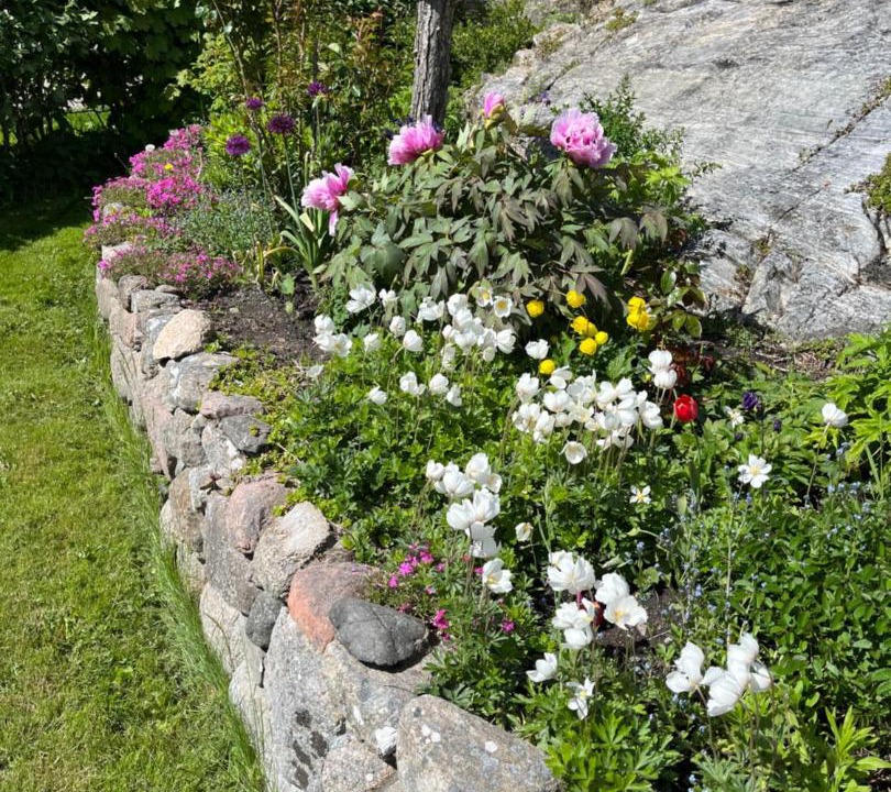 Photo of Others in Skaerhamn