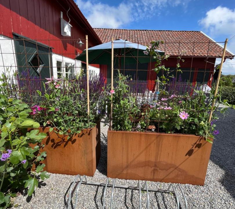 Photo of Others in Skaerhamn