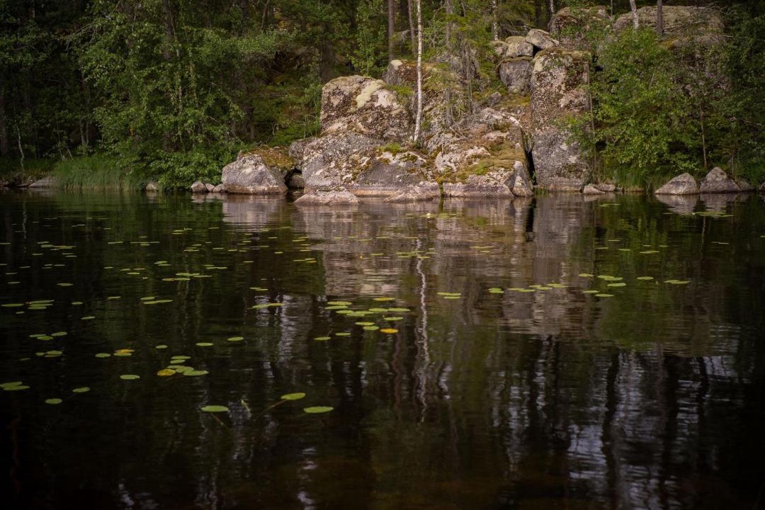 Photo of Others in Hagfors Municipality