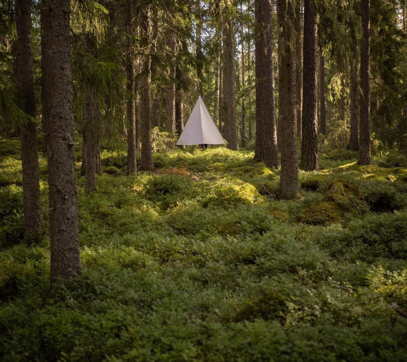 Photo of Others in Hagfors Municipality