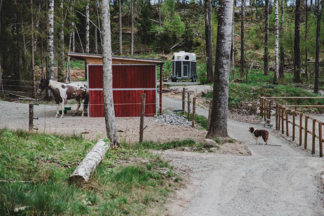 Photo of Others in Arvika