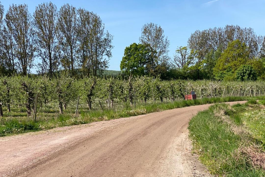 Photo of Others in Ekestad