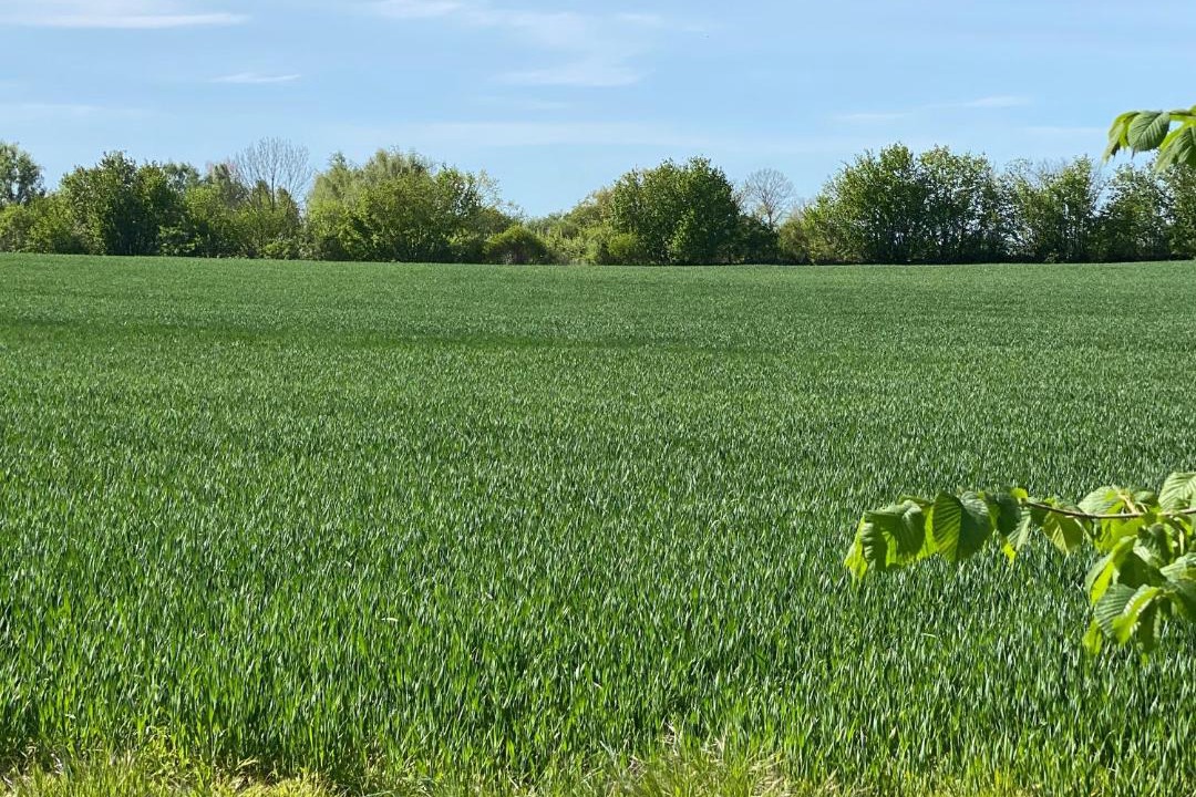 Photo of Others in Ekestad