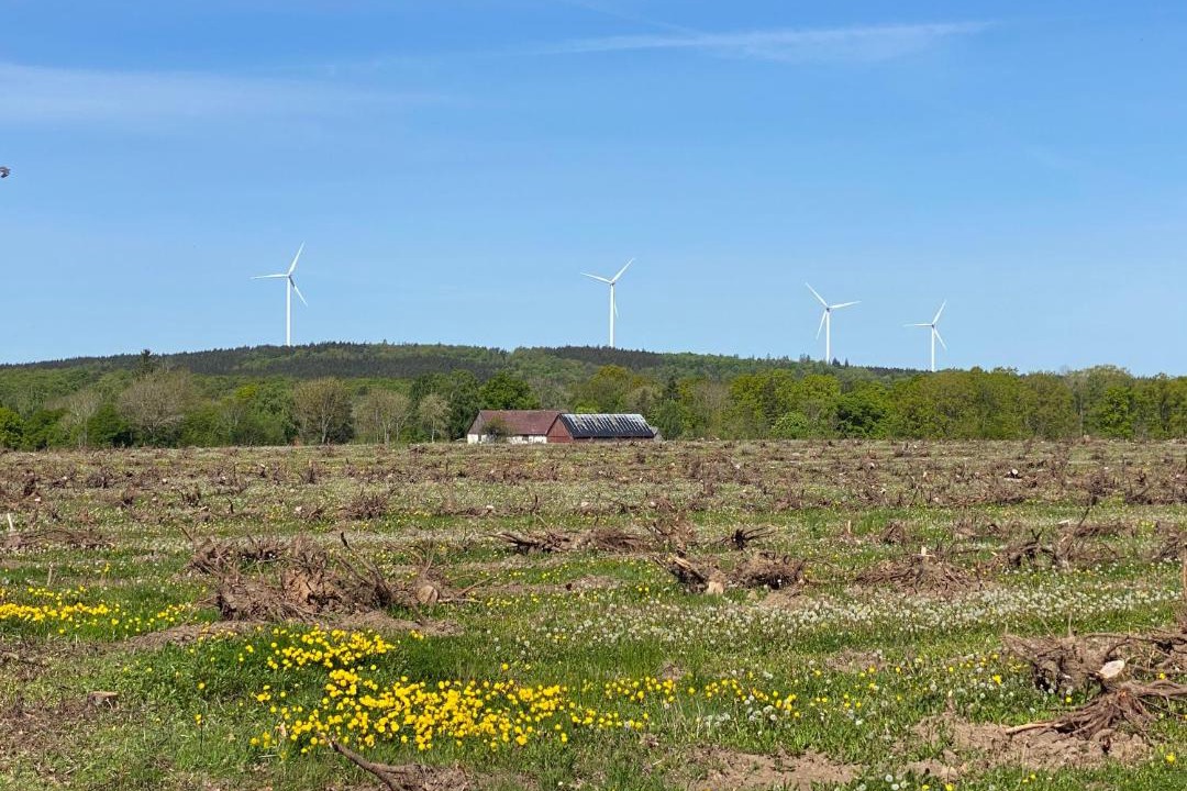Photo of Others in Ekestad