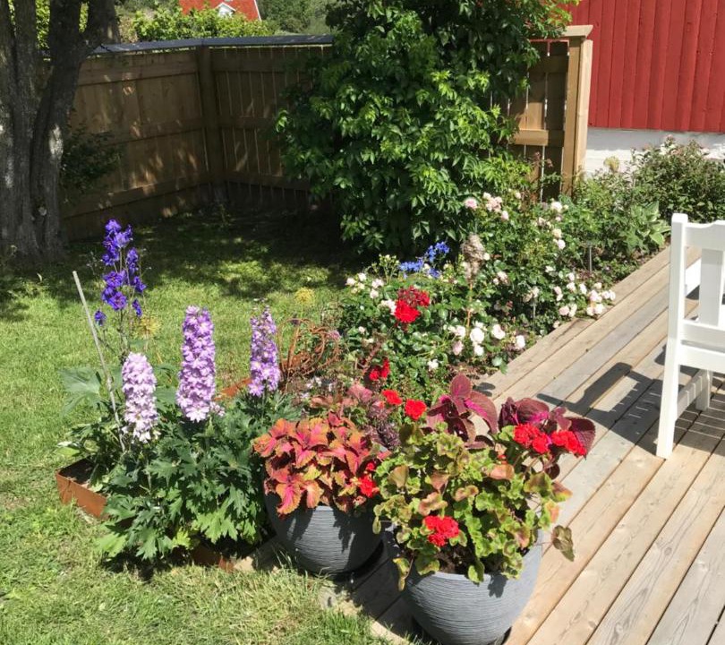 Photo of Others in Skaerhamn