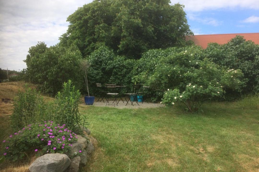 Photo of Others in Skaerhamn