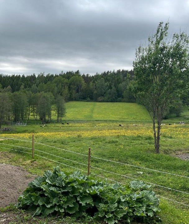 Photo of Others in Munkedal