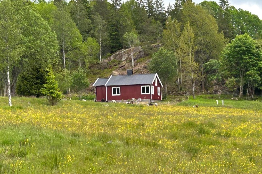 Photo of Others in Munkedal