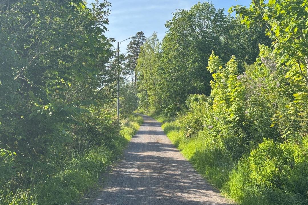 Photo of Others in Savsjostrom