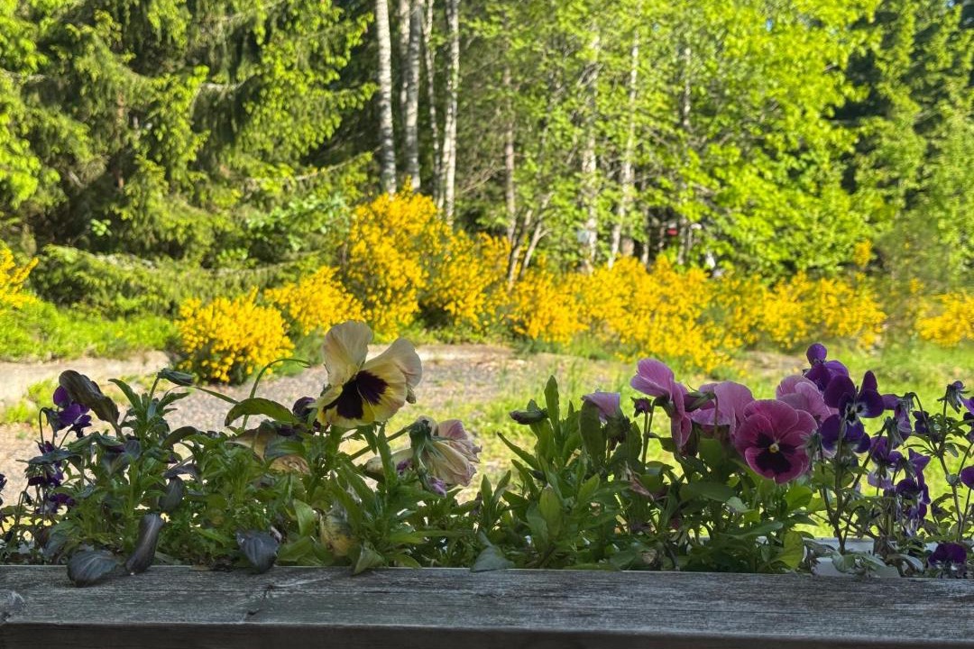 Photo of Others in Savsjostrom