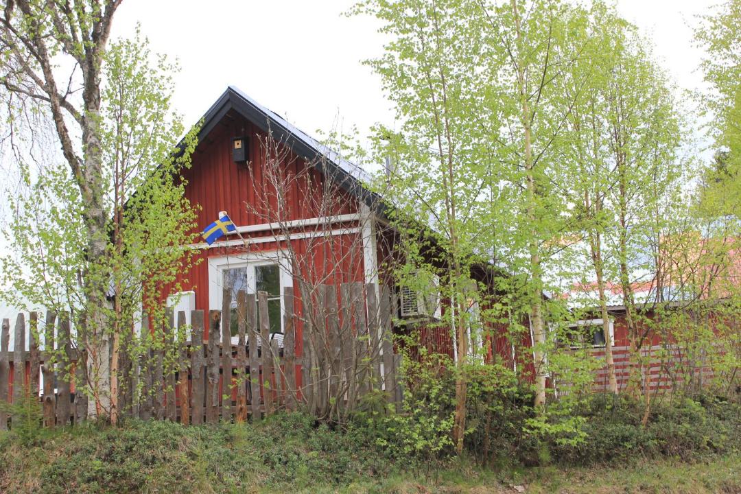 Photo of Others in Asele